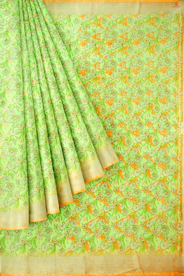 LIGHT GREEN and MULTI   Saree with 